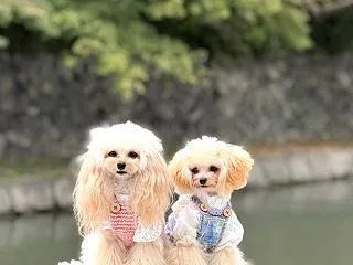 2人が可愛すぎる〜 (˘ ³˘)♥