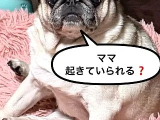 VIVANTのあと？