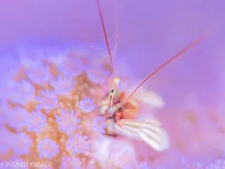 写真集出版までの道のり④ -100万枚の…
