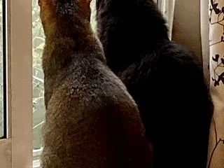 キャンセル・日程変更について