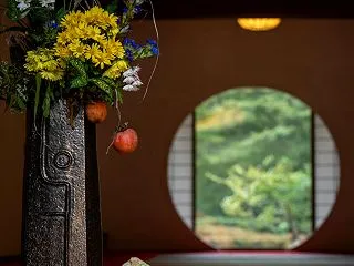 待秋初景【明月院】それぞれに、これから迎…