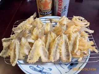 #26 2026/10/23 内房/のべ…