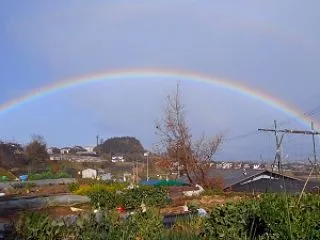 今日の作業(10/27)