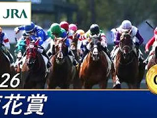 2026 菊花賞 G1 京都競馬場 (T…