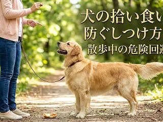 犬の拾い食いを防ぐしつけ方法｜散歩中の危…