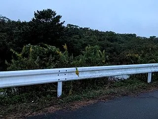 ウナギ釣り31回目