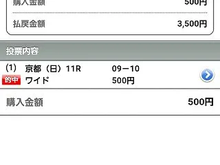 菊花賞2026結果