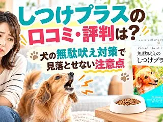 しつけプラスの口コミ・評判は？犬の無駄吠…