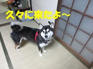 与えられたものより。