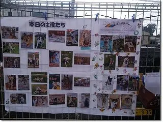卒ワン会2026