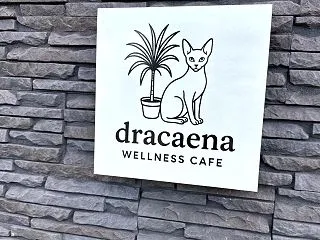 函館 dradacna