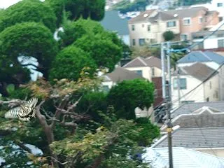 ダンス！