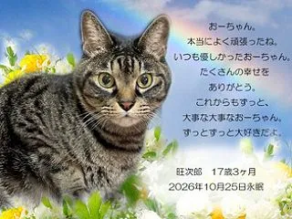 天使 旺次郎君