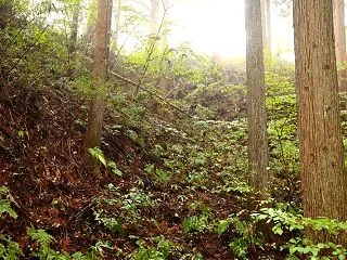 岩出山 葛岡城