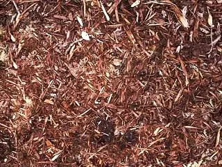 粉砕した剪定ゴミを堆肥として活用