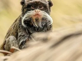 千客万来の研究室