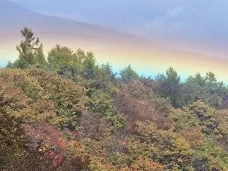 秋の山野草教室