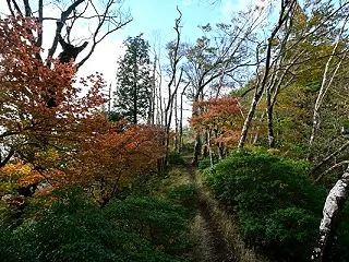 爆風唸る丹沢三峰を行く