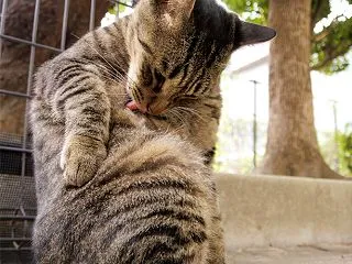 公園にお座りして