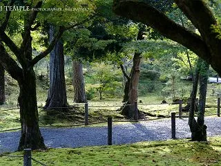 京都 南禅寺 「毎年遅れてやってくる紅葉…