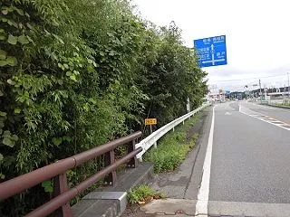 浪江レポート 2026.08.30 (そ…