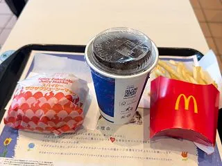 マクドナルド/スパイシーザクザクジューシ…