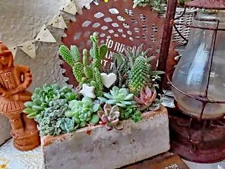 セメント鉢に寄せ植えと台風前の少しの備え…