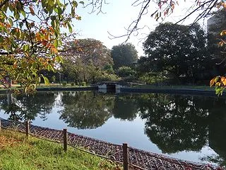 2026年10月10日に水城公園で見た鳥…