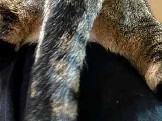 これはやめて（泣）と近況
