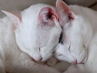 時間はゆったりと流れていきます