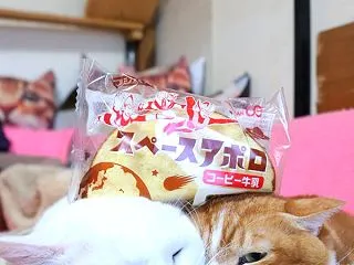スペースアポロ コーヒー牛乳
