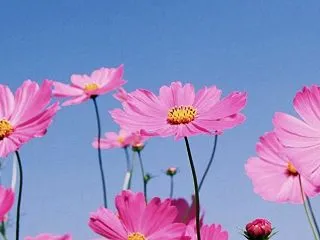 エアコンクリーニングに見た仕事の流儀
