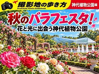 【撮影地の歩き方】秋のバラフェスタ！ 花…