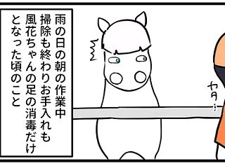 ハクちゃんの勘違い