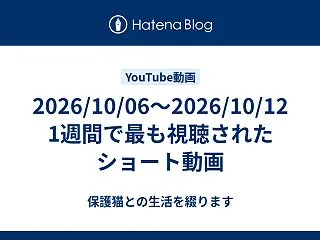 2026/10/06～2026/10/1…