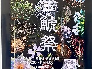 2026金鯱祭♪塊根植物お買い物*\(^…