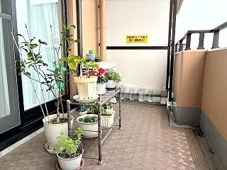 10月のベランダ／返信なし／家呑み