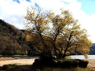 片品村 丸沼の紅葉 ラスト 