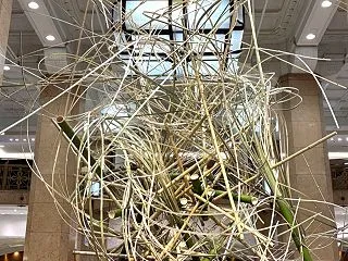 開催中の草月流いけばな展へ