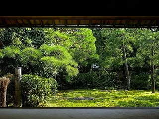 成城五丁目猪股庭園（東京都世田谷区）に行…