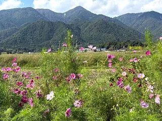 比良の灯台が本当に消える日