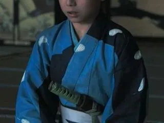 豊臣兄弟！ 36～40回 NHK 大河ド…