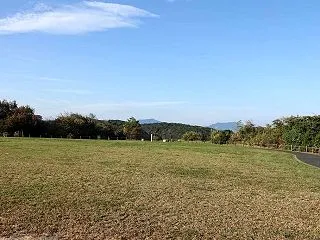 10/25探鳥記録写真（ジョウビタキ、ホ…