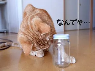 悩みまくる、くるみ。