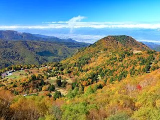 高山村 錦秋の山田牧場