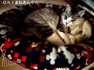 暖かいでしょ(^ ^)