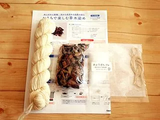 おうちで楽しむ草木染め(1) くるみの果…