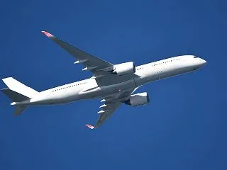 欲しいものはないとは言え...旅行準備色…