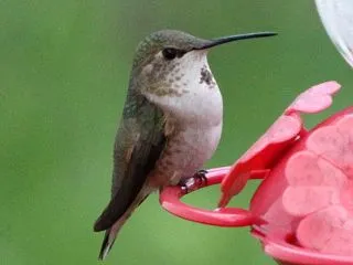 しんどいのか、しんどくないのか