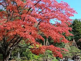 10/25 菊花賞 の予想